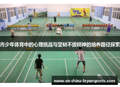 青少年体育中的心理挑战与坚韧不拔精神的培养路径探索