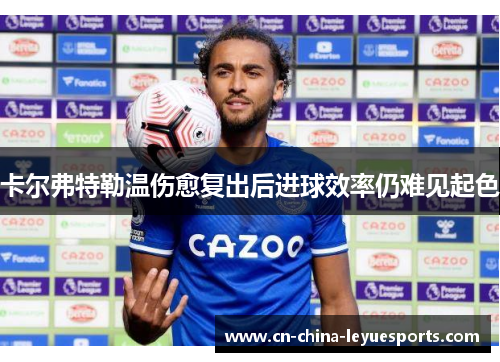 卡尔弗特勒温伤愈复出后进球效率仍难见起色 卡尔弗特勒温伤愈复出后进球效率仍难见起色